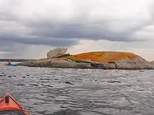 Orange Lichen (Xanthoria elegans) on rocky islet in Gaspereau Lake