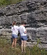 A stratigraphic section of Ordovician limestone exposed in central Tennessee, U.S. The less-resistant and thinner beds are composed of shale. The vertical lines are drill holes for explosives used during road construction.