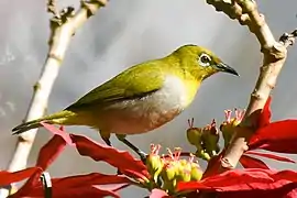 In Ooty (alt. 2,300m), The Nilgiris District, India