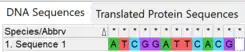 A short DNA sequence composed of 12 nucleotides.