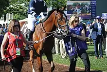 Oscar Performance, winner of the Juvenile Turf