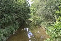 Otter Fork of the Licking River