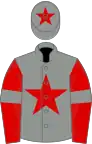 Grey, red star on body and cap, red sleeves, grey armlets