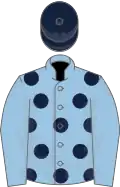 Light blue, dark blue spots, light blue sleeves, dark blue cap