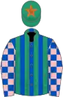 Royal blue and emerald green stripes, pink and royal blue check sleeves, emerald green cap, orange star