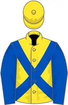 Yellow, blue cross-belts and sleeves