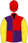 Red And Purple (quartered), Yellow Sleeves, white Cap