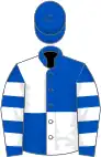 ROYAL BLUE and WHITE QUARTERED, hooped sleeves, royal blue cap