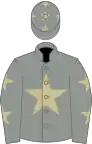 Grey, beige star, grey sleeves, beige stars and stars on cap