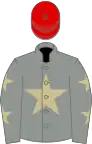 Grey, beige star, grey sleeves, beige stars, red cap