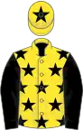 Yellow, black stars, sleeves and star on cap