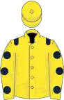 Yellow, dark blue epaulets, yellow sleeves, dark blue spots