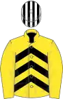 Yellow, black chevrons on body, black and white striped cap