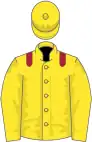 Yellow, maroon epaulets