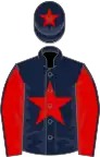 Dark blue, red star, red sleeves, dark blue seams, dark blue cap, red star