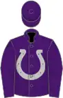 Purple, silver horseshoe