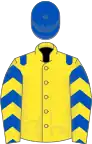 Yellow, royal blue epaulets, royal blue and yellow chevrons on sleeves, royal blue cap