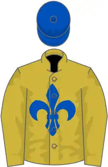 Old gold, royal blue fleur de lys and cap