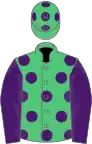 Emerald green, purple spots, sleeves and spots on cap