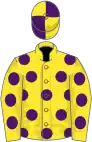 YELLOW, purple spots, quartered cap