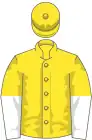 Yellow, white and yellow halved sleeves