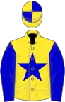 Yellow, blue star and sleeves, quartered cap