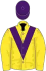 Yellow, purple chevron and cap