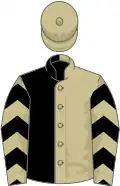 Black and beige (halved), chevrons on sleeves, beige cap