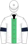 White, emerald green stripe, white sleeves, dark blue armlets