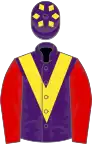 Purple, Yellow chevron, Red sleeves, Purple cap, Yellow diamonds