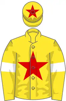 Yellow, Red star, Yellow sleeves, White armlets, Yellow cap, Red star