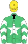 Emerald green, white star, white chevrons on sleeves, yellow cap