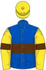 Royal blue, brown hoop and armlets, yellow sleeves and cap