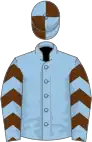 Light blue, brown chevrons on sleeves, quartered cap