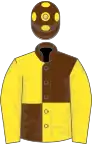 Brown and yellow (quartered), yellow sleeves, brown cap, yellow spots