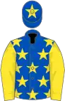 Royal blue, yellow stars and sleeves, star on cap