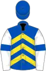 Royal blue, yellow chevrons, white sleeves, blue armlets