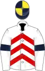 White and red chevrons, white sleeves, dark blue armlets, dark blue and yellow striped cap