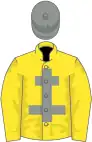 Yellow, grey cross of lorraine, yellow sleeves, grey cap