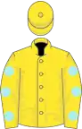 Yellow, pale blue spots on sleeves