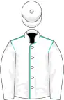 White, turquoise seams on body