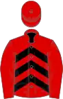 Red, black chevrons on body