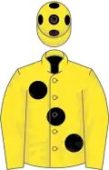 Yellow, black large spots, yellow sleeves, yellow cap, black spots