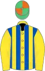 YELLOW and ROYAL BLUE STRIPES,yellow sleeves,emerald green and orange quartered cap