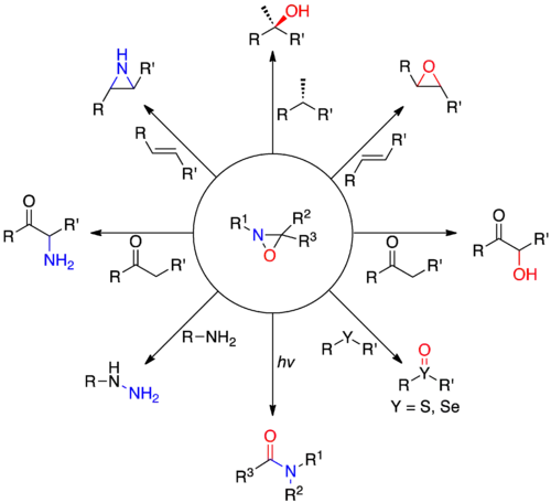 Oxaziridine Reactions