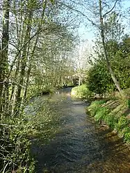 The Mouche river in Humes