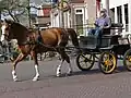 Horse and carriage