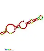 P31:  Secondary structure taken from the Rfam database. Family RF01676