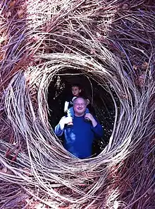 Visitors playing in the sculpture Whiplash