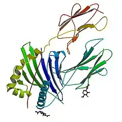 PDB rendering based on 1a6a.